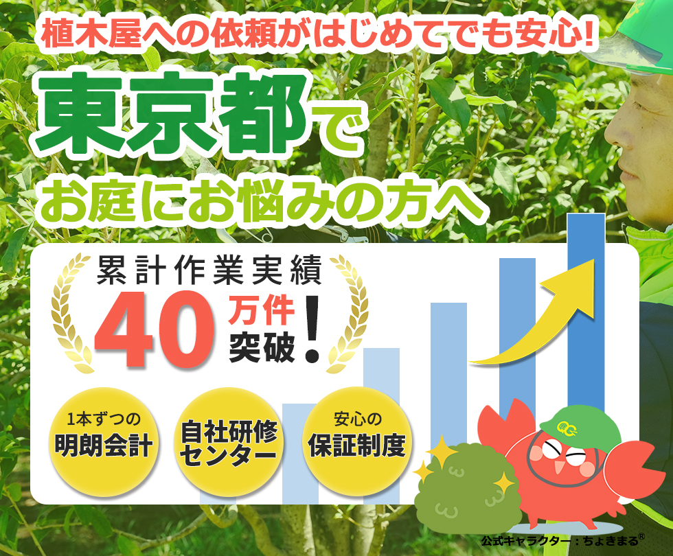 東京都の植木屋,中央区,港区,新宿区,文京区,庭木,剪定,伐採,除草,草刈り,草むしり,植木屋革命,クイックガーデニング