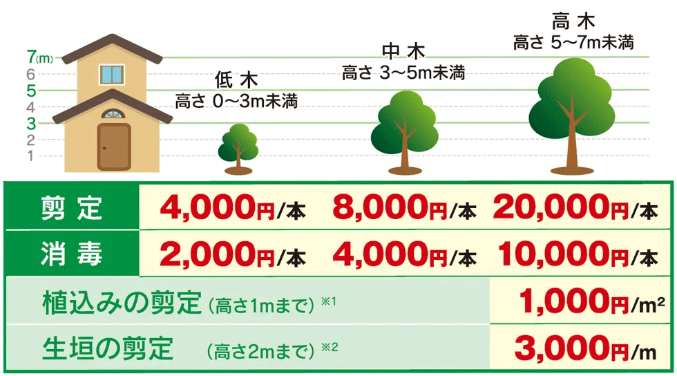 栃木県の植木屋,庭木の高さ目安と作業料金