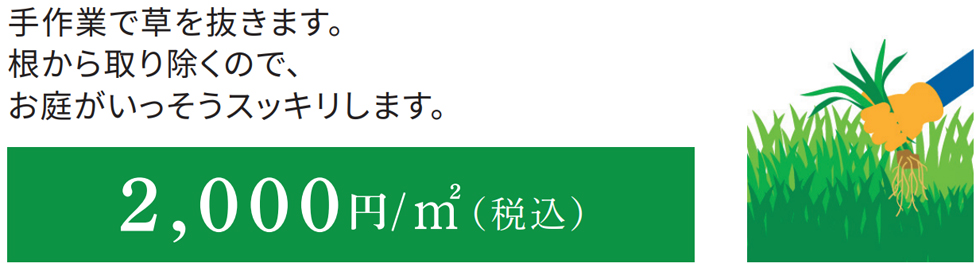 除草草むしり