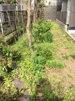 除草（草むしり）Before