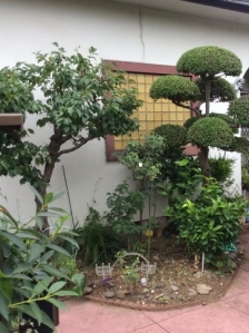 剪定、除草（草むしり）