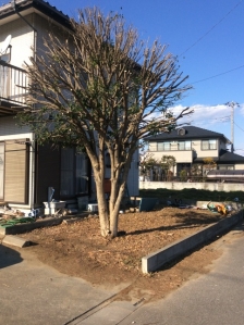 剪定、除草（草むしり）