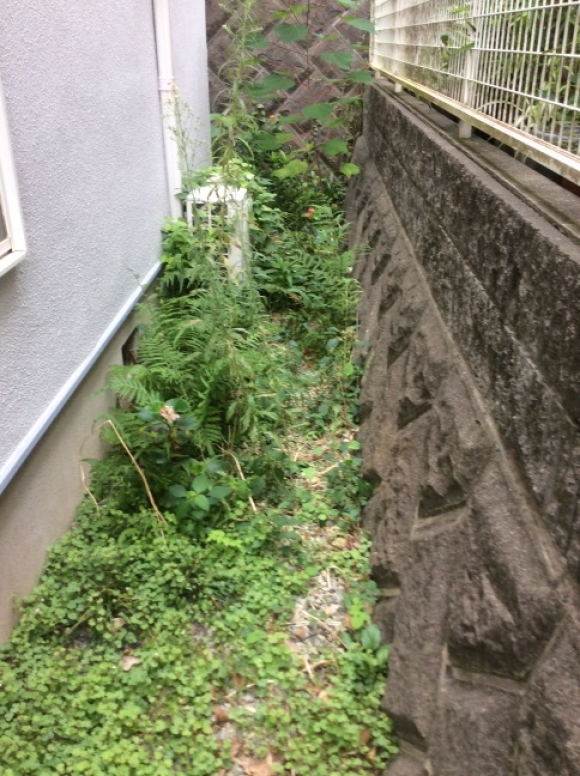 剪定、除草（草むしり、機械刈り）