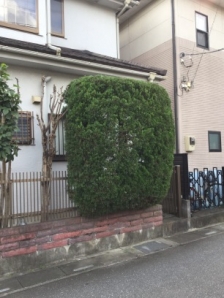 剪定、除草