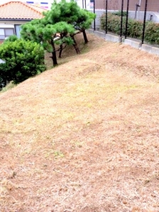 剪定、除草（機械刈り）