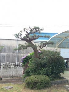 剪定、除草