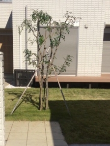 剪定、除草（草むしり）