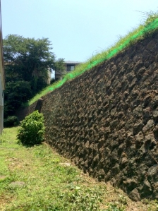 除草（機械刈り）