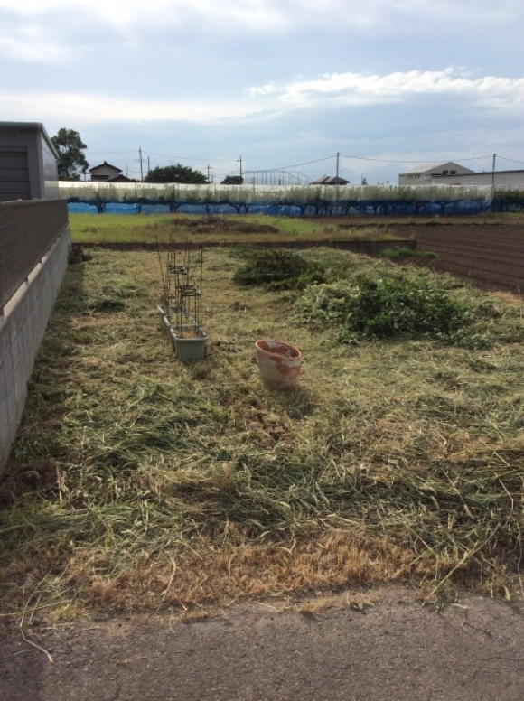 剪定、除草、消毒