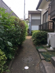 剪定、除草