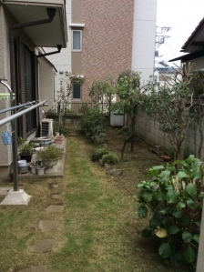 剪定、除草