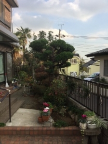 剪定、除草