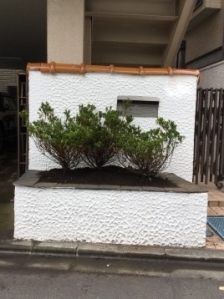 抜根、植栽