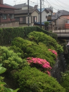 剪定、除草