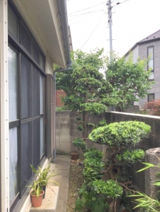 剪定、伐採、除草（草むしり）