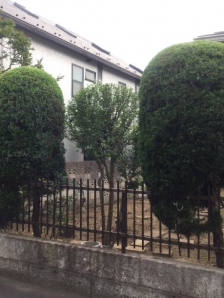 剪定、除草（機械刈り）、除草（草むしり）