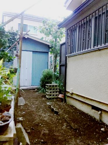 槙(マキ),モクレン,除草（草むしり）After,植木屋革命919