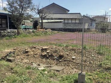 低木3本,中木2本の伐採を承りました