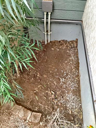 剪定、伐採、抜根After