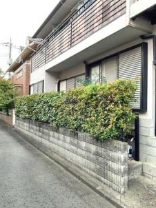 剪定、伐採