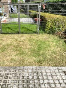 除草（草むしり）、芝刈り