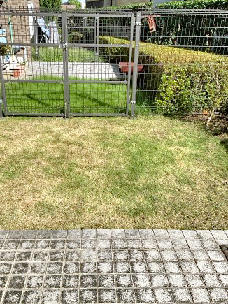 除草（草むしり）、芝刈りAfter