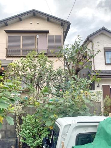 剪定、伐採、除草After