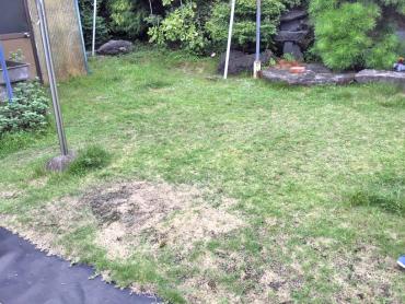 除草（機械刈り）Before