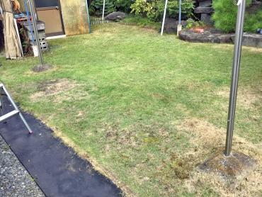 除草（機械刈り）After