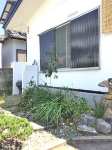 伐採