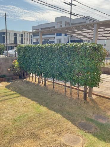 生垣のお手入れ、除草・草むしりAfter