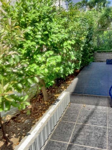 生垣のお手入れ、砂利敷きBefore