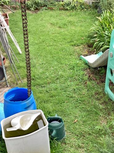 伐採、除草、芝刈りBefore