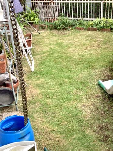 伐採、除草、芝刈りAfter