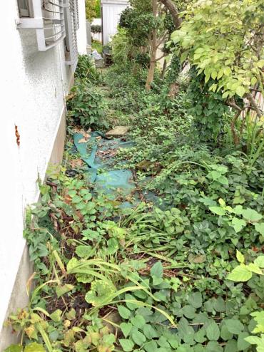 伐採、除草、芝刈りBefore