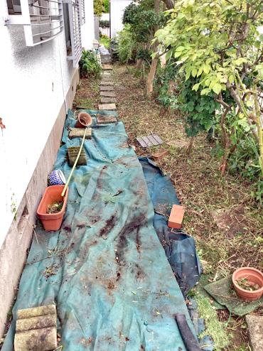 伐採、除草、芝刈りAfter