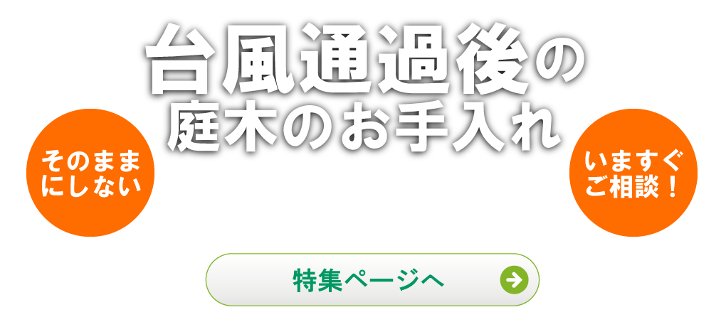 台風,庭木,お手入れ