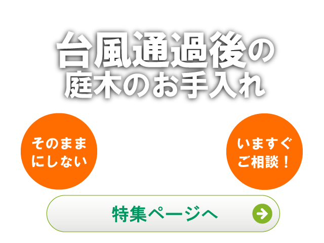 台風,庭木,お手入れ