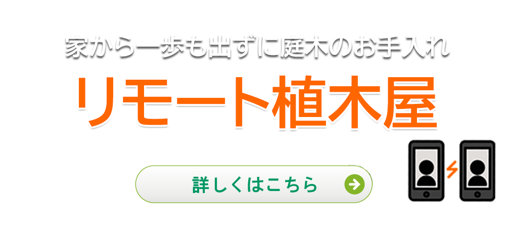 植木屋革命 庭木のお手入れ 剪定 伐採はクイック ガーデニングへ 植木屋革命 庭木のお手入れ 剪定 伐採はクイック ガーデニングへ