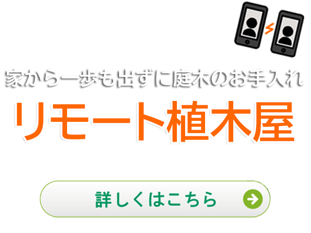 植木屋革命 庭木のお手入れ 剪定 伐採はクイック ガーデニングへ 植木屋革命 庭木のお手入れ 剪定 伐採はクイック ガーデニングへ