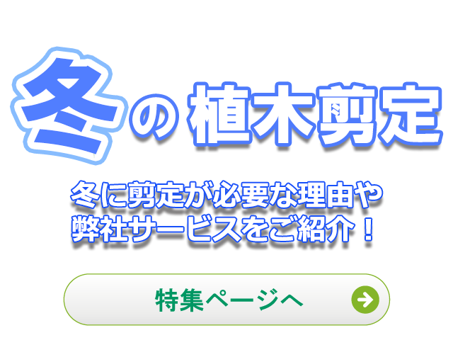 冬の植木剪定