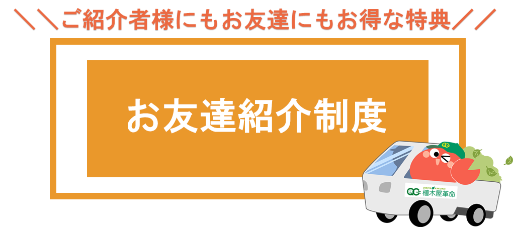 【お友達紹介制度】お友達のご紹介でQUOカード3000円分がもらえる！