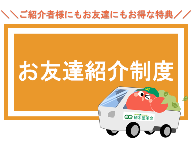 【お友達紹介制度】お友達のご紹介でQUOカード3000円分がもらえる！