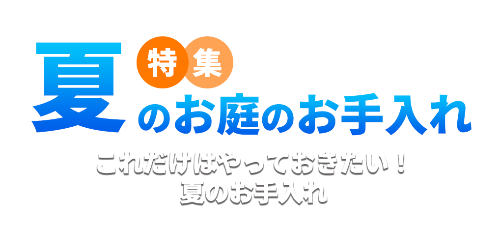 夏のお庭のお手入れ