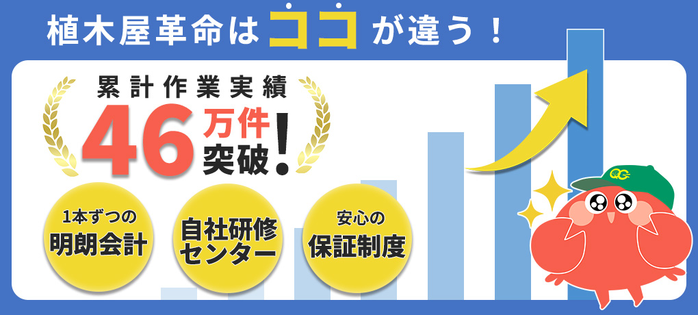 植木屋革命はココが違う