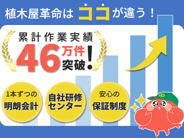 植木屋革命はココが違う