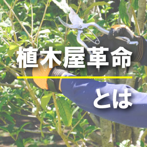 【はじめての植木屋革命】お庭のお手入れをご検討の方向けのガイドページ一覧画像