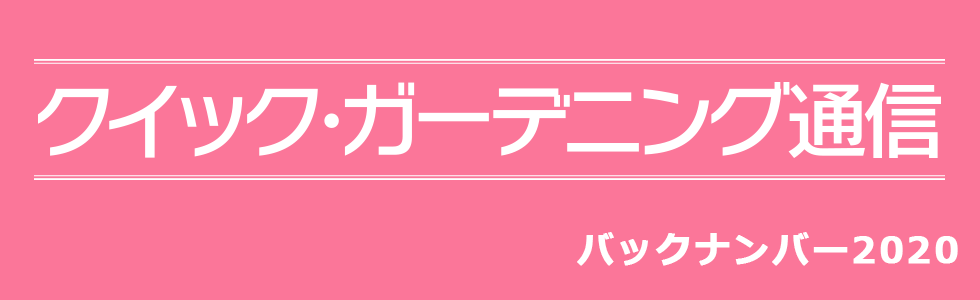 『クイック・ガーデニング通信』バックナンバー【2020年度】メイン画像