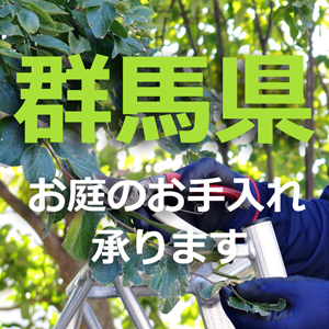 群馬県の植木屋｜剪定・伐採・お庭のお手入れは植木屋革命