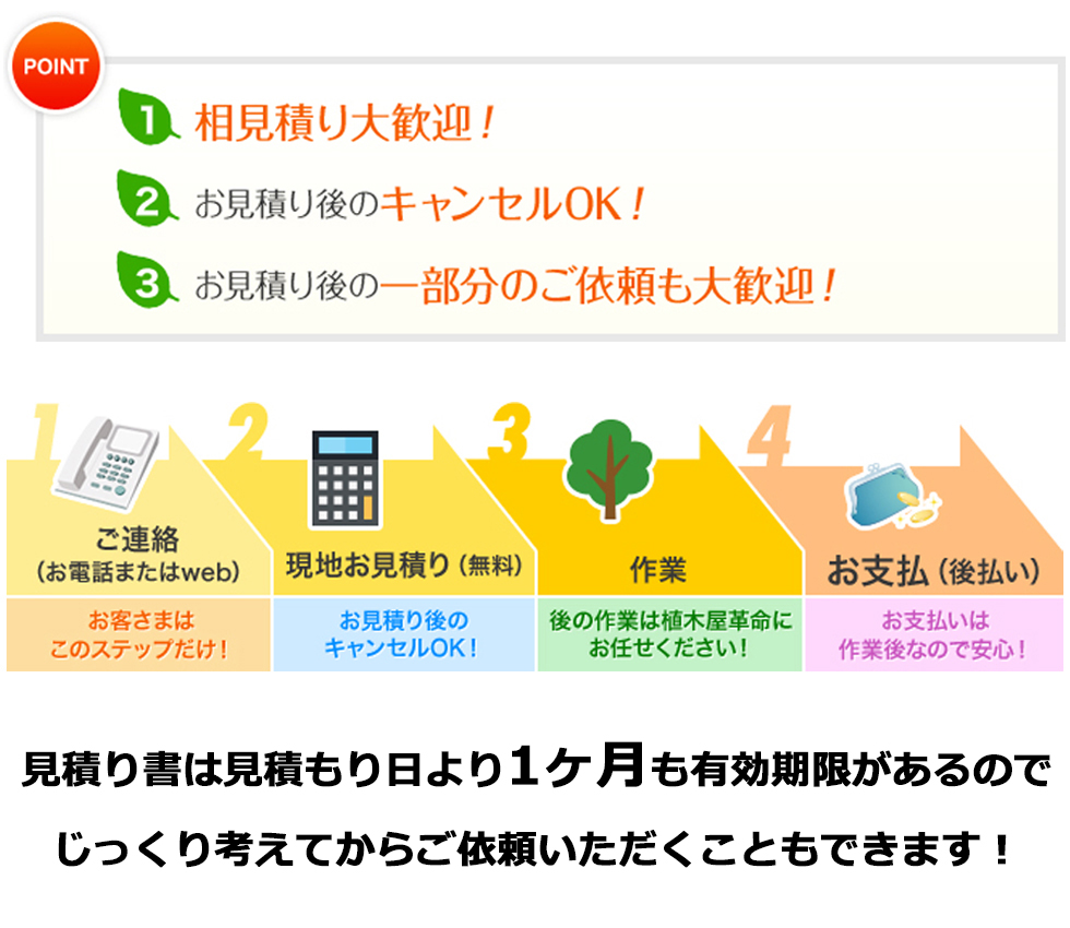 愛車を守るお庭対策「剪定」見出し画像3